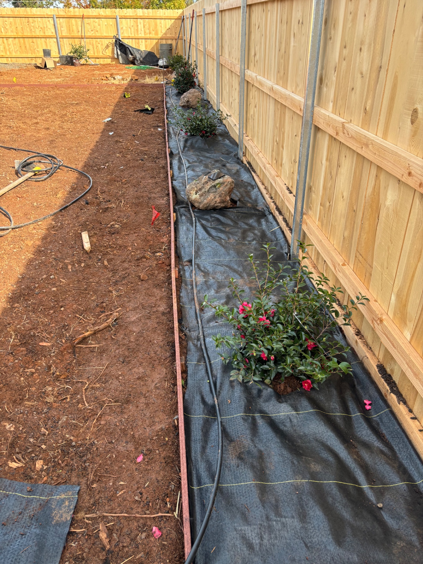 New shrub planting and fresh mulch in a Chico, CA yard