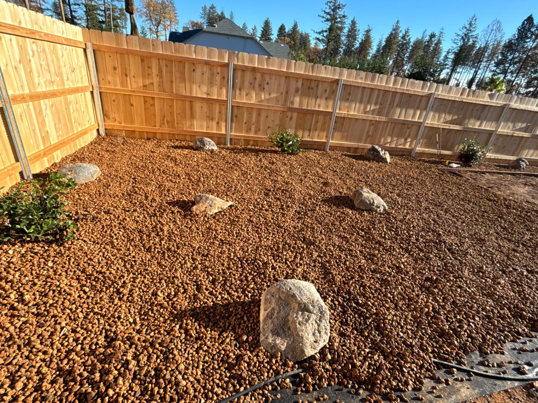 Finished drought-tolerant yard with decorative rock, boulders, and new shrubs behind a cedar fence